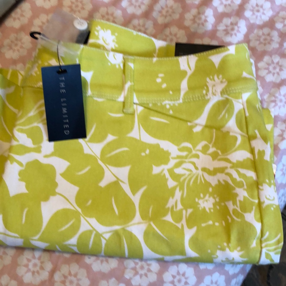 Women’s limited shorts